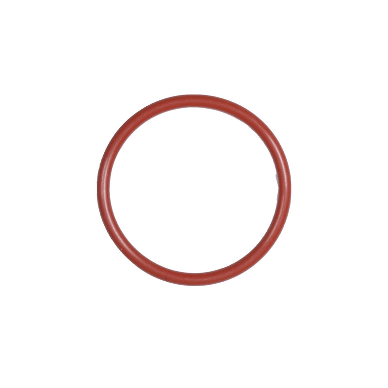 O-ring shower head