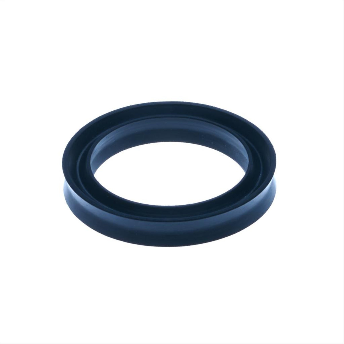 Piston seal old was